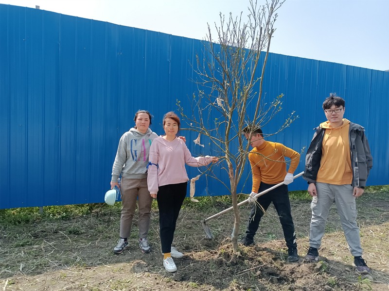 播种绿色 收获希望—宝时云仓开展2021植树节活动(图14)