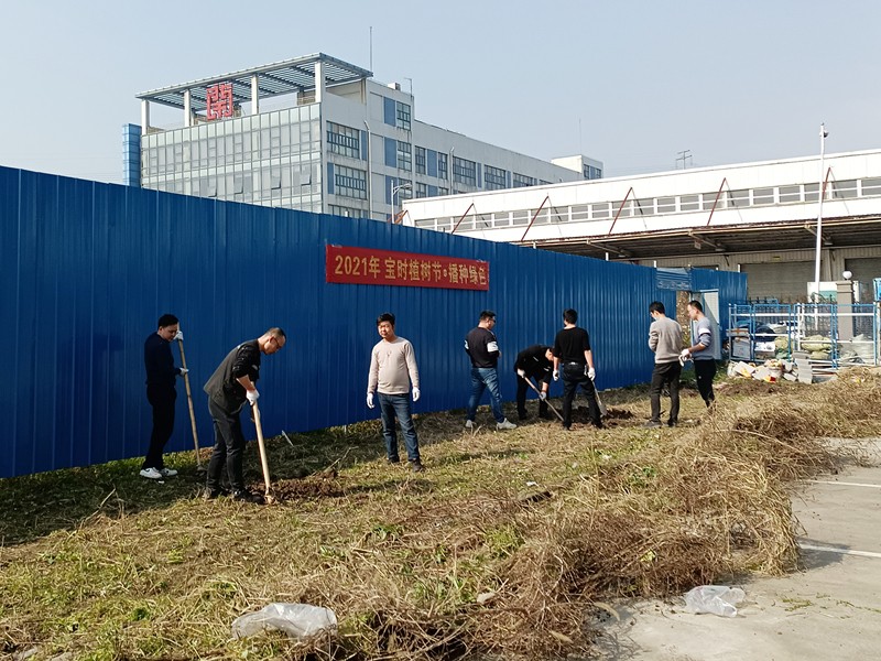 播种绿色 收获希望—宝时云仓开展2021植树节活动(图4)