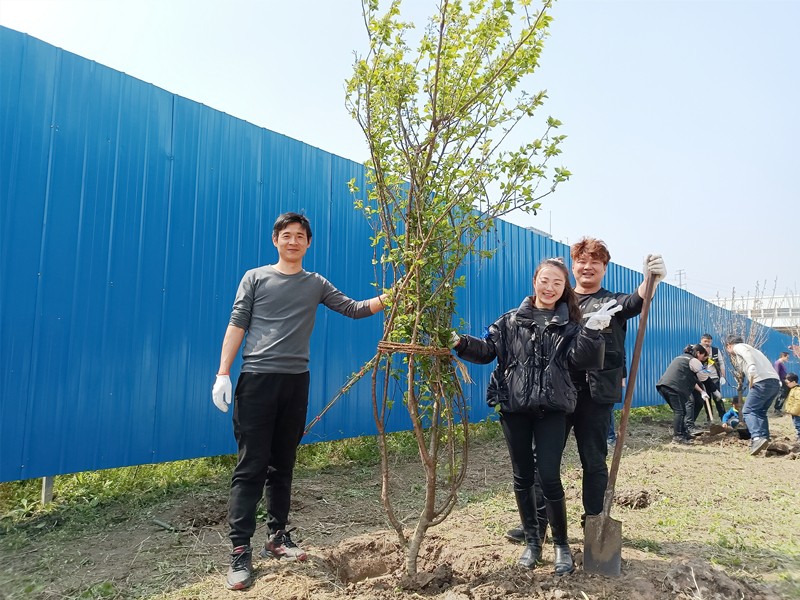 播种绿色 收获希望—宝时云仓开展2021植树节活动(图13)