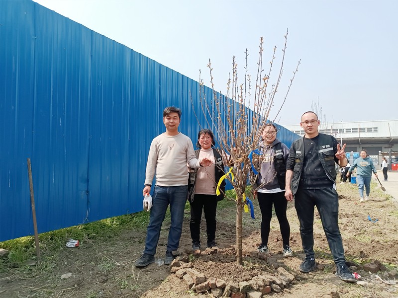 播种绿色 收获希望—宝时云仓开展2021植树节活动(图15)