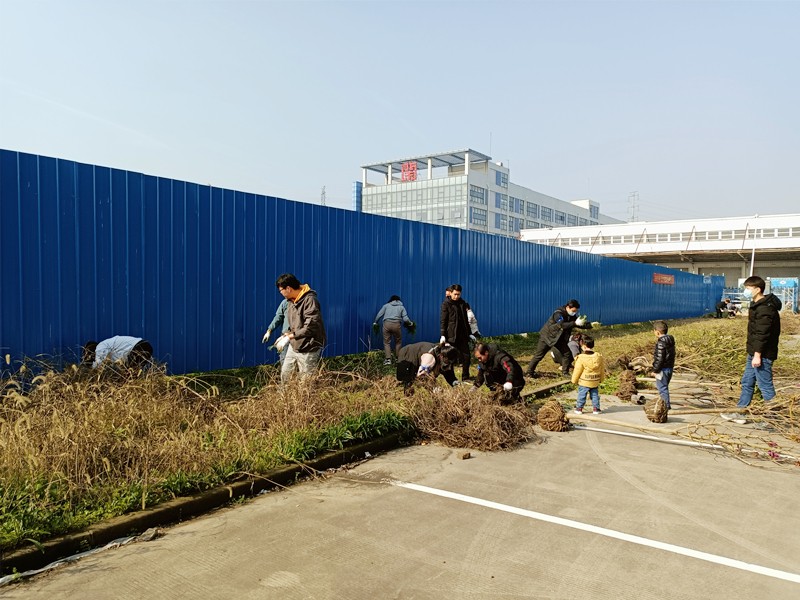 播种绿色 收获希望—宝时云仓开展2021植树节活动(图3)