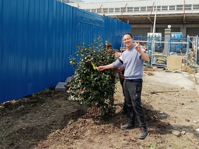 播种绿色 收获希望—宝时云仓开展2021植树节活动(图10)